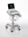 ACUSON P300 Ultrasound System 