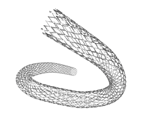 SE Peripheral Stents