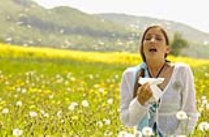 Many Docs Mistaken About Allergies