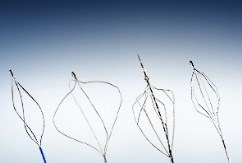 Grasping Baskets