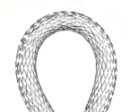 SE Biliary Stents