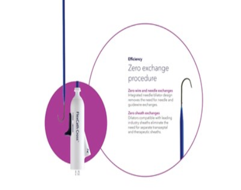 FlexCath Cross™ Transseptal Solution