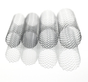 SE Biliary Stents
