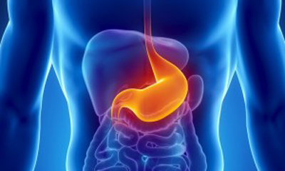 Gastroscopy