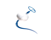 Cardiac Cryoablation Catheter Family