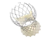 Evolut™ PRO+System 