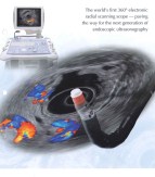 Radial Echoendoscope GF-UE260-AL5