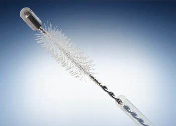 Cytology Brushes