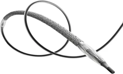 Coronary stents
