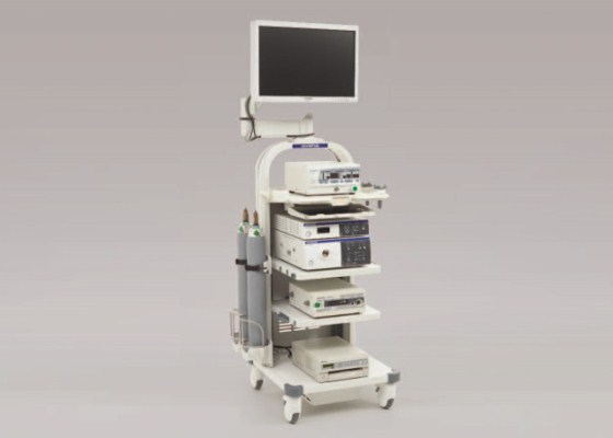 Mobile Endoscopic Workstation WM-NP2