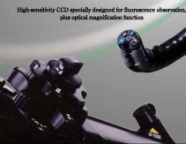 Video Gastroscope GIF-FQ260Z