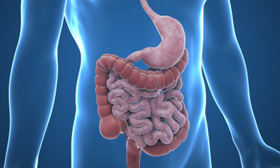 Gastrointestinal