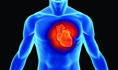 Cardiology