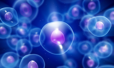 Oncology