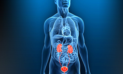 Urology