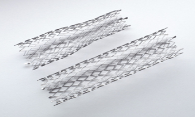 Carotid Stents