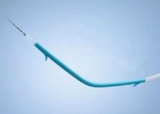 Biliary and Pancreatic Plastic Stents