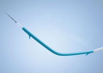 Biliary and Pancreatic Plastic Stents