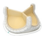 Avalus Bioprosthesis