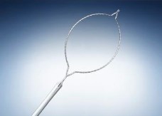 Polypectomy Snares