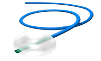 Balloon Guide Catheter