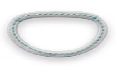 Annuloplasty Systems