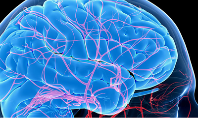 Neuro Vascular