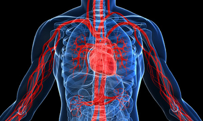 Peripheral Vascular