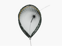 Embolic Protection